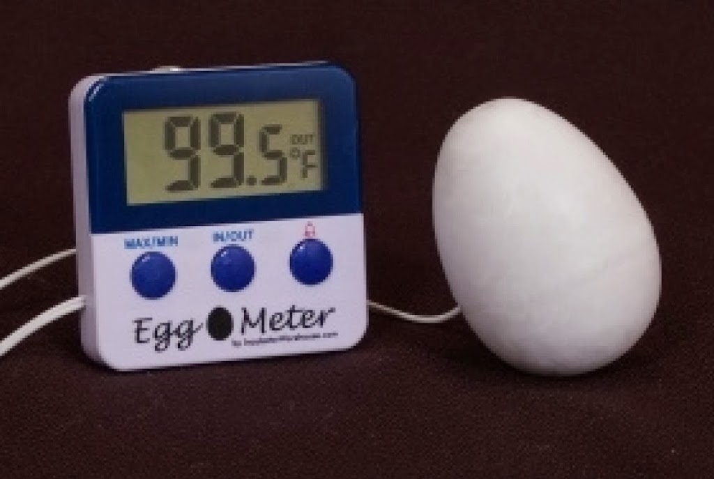 temperature for hatching chicken eggs